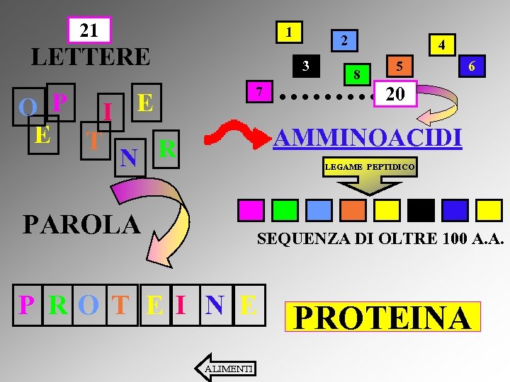 21 1 LETTERE 2 3 7 O P I E E T N R