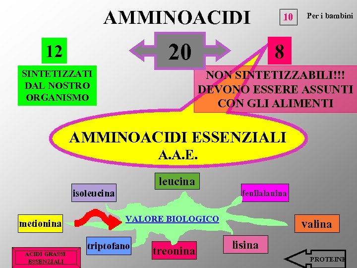AMMINOACIDI 20 12 SINTETIZZATI DAL NOSTRO ORGANISMO 10 Per i bambini 8 NON SINTETIZZABILI!!!