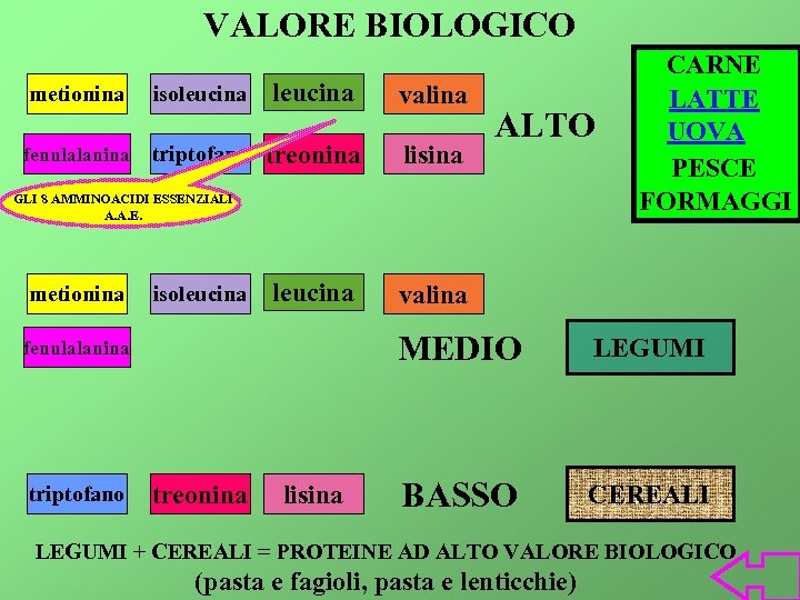 VALORE BIOLOGICO metionina isoleucina valina fenulalanina triptofano treonina lisina leucina CARNE LATTE UOVA PESCE