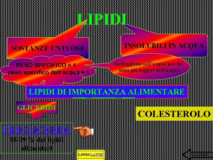 LIPIDI SOSTANZE UNTUOSE PESO SPECIFICO < 1 peso specifico dell’acqua = 1 INSOLUBILI IN