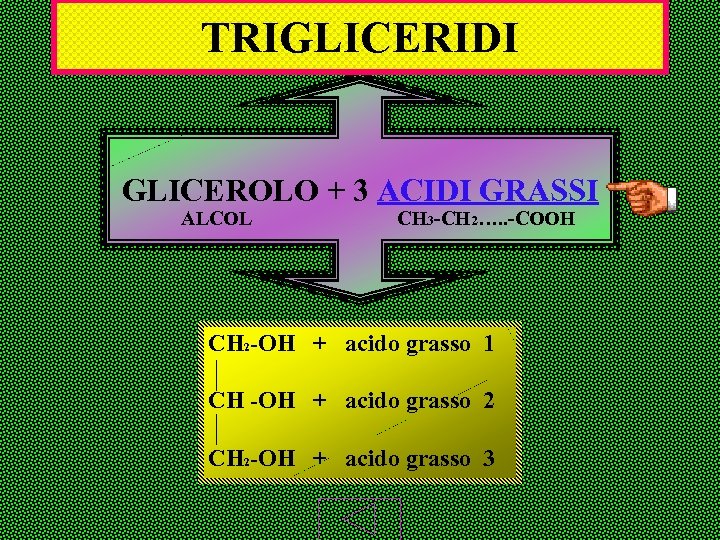 TRIGLICERIDI GLICEROLO + 3 ACIDI GRASSI ALCOL CH 3 -CH 2…. . -COOH CH