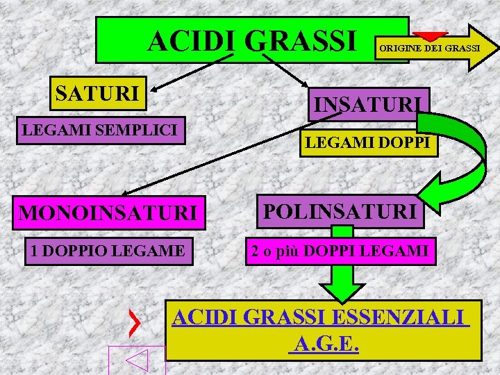 ACIDI GRASSI SATURI ORIGINE DEI GRASSI INSATURI LEGAMI SEMPLICI LEGAMI DOPPI MONOINSATURI POLINSATURI 1