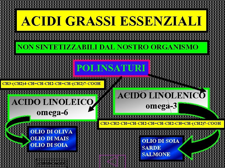 ACIDI GRASSI ESSENZIALI NON SINTETIZZABILI DAL NOSTRO ORGANISMO POLINSATURI CH 3 -(CH 2)4 -CH=CH-CH