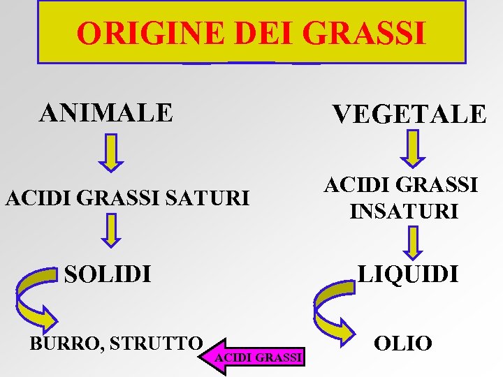 ORIGINE DEI GRASSI ANIMALE VEGETALE ACIDI GRASSI SATURI SOLIDI BURRO, STRUTTO ACIDI GRASSI INSATURI