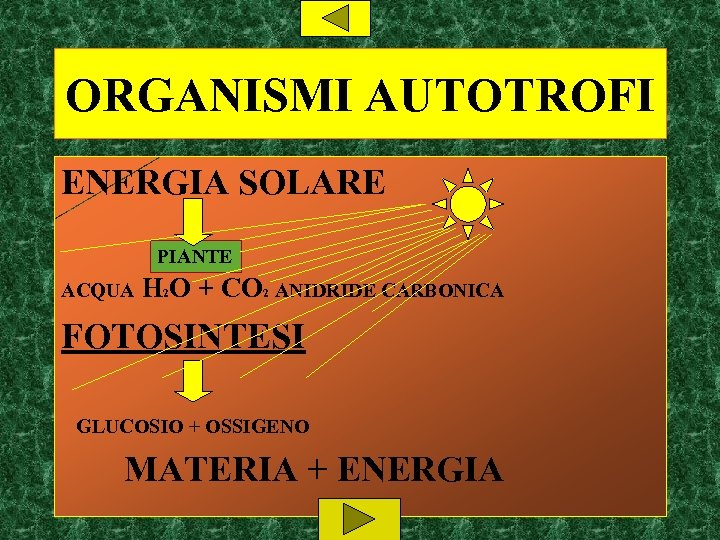 ORGANISMI AUTOTROFI ENERGIA SOLARE PIANTE ACQUA H 2 O + CO 2 ANIDRIDE CARBONICA