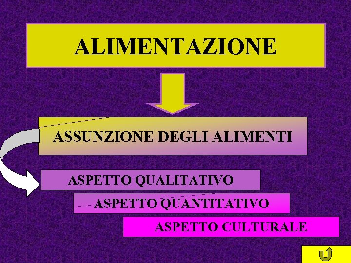 ALIMENTAZIONE ASSUNZIONE DEGLI ALIMENTI ASPETTO QUALITATIVO ASPETTO QUANTITATIVO ASPETTO CULTURALE 