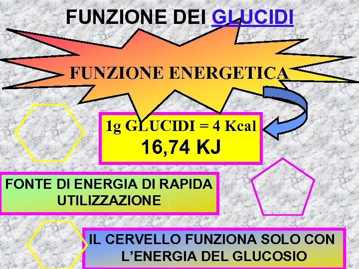FUNZIONE DEI GLUCIDI FUNZIONE ENERGETICA 1 g GLUCIDI = 4 Kcal 16, 74 KJ
