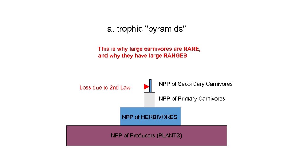 a. trophic 