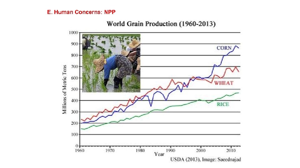 E. Human Concerns: NPP 