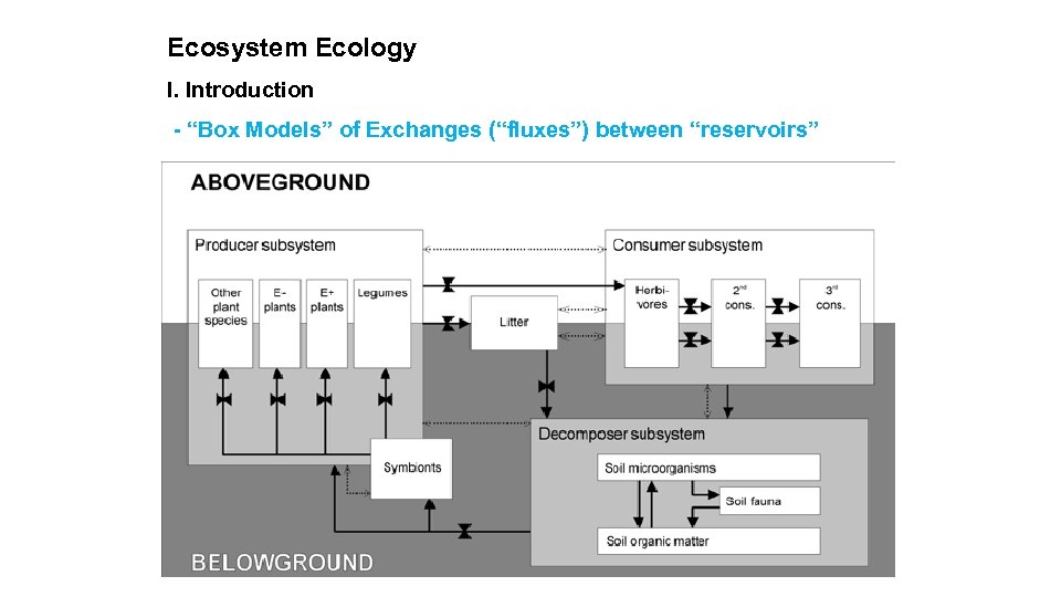 Ecosystem Ecology I. Introduction - “Box Models” of Exchanges (“fluxes”) between “reservoirs” 