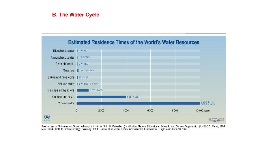 B. The Water Cycle 