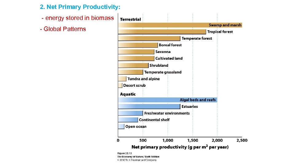 2. Net Primary Productivity: - energy stored in biomass - Global Patterns 