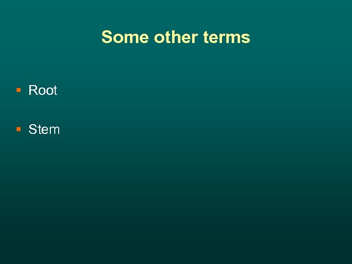 Some other terms § Root § Stem 