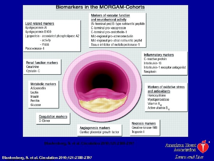 Blankenberg, S. et al. Circulation 2010; 121: 2388 -2397 Blankenberg, Americanal. Circulation 2010; 121: