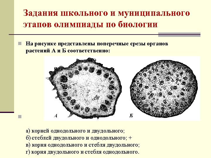 На рисунке а представлена схема поперечного среза