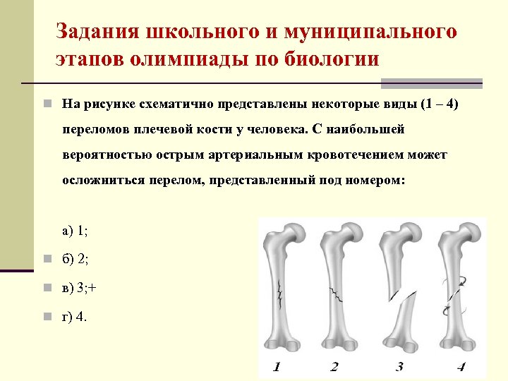 Представляют некоторых