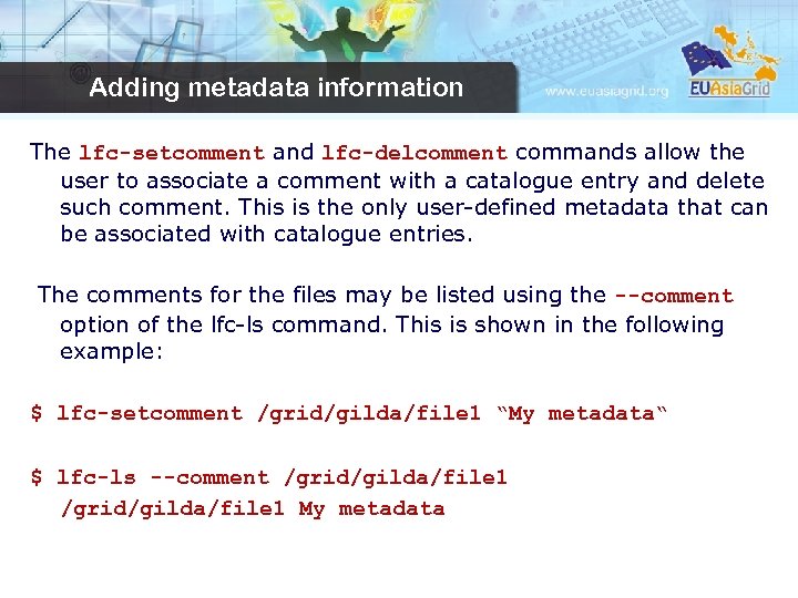 Adding metadata information The lfc-setcomment and lfc-delcomment commands allow the user to associate a