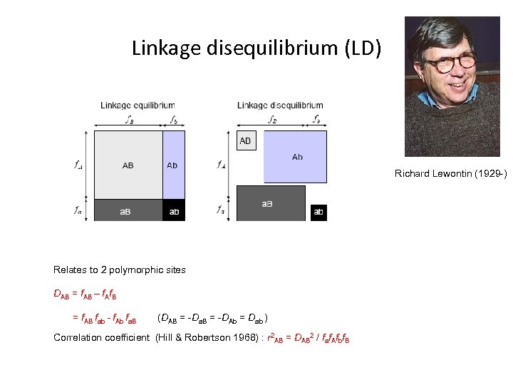 Linkage disequilibrium (LD) Richard Lewontin (1929 -) Relates to 2 polymorphic sites DAB =