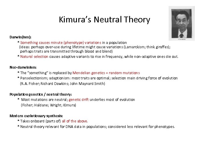 Kimura’s Neutral Theory Darwin(ism): * Something causes minute (phenotype) variations in a population (ideas: