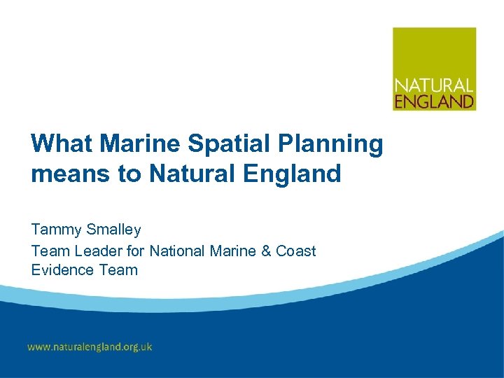 What Marine Spatial Planning means to Natural England Tammy Smalley Team Leader for National