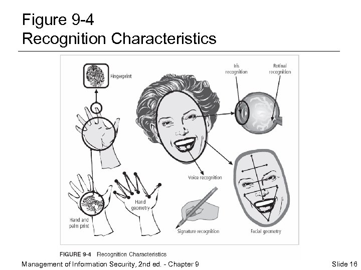 Figure 9 -4 Recognition Characteristics Management of Information Security, 2 nd ed. - Chapter