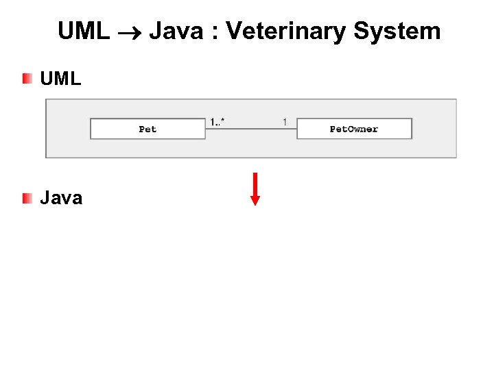UML Java : Veterinary System UML Java 