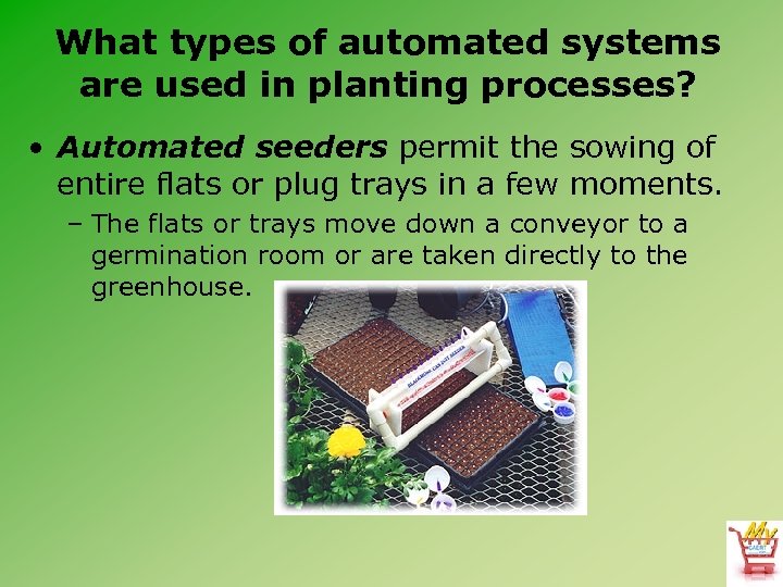 What types of automated systems are used in planting processes? • Automated seeders permit