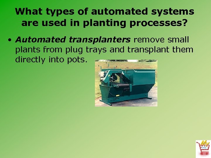 What types of automated systems are used in planting processes? • Automated transplanters remove