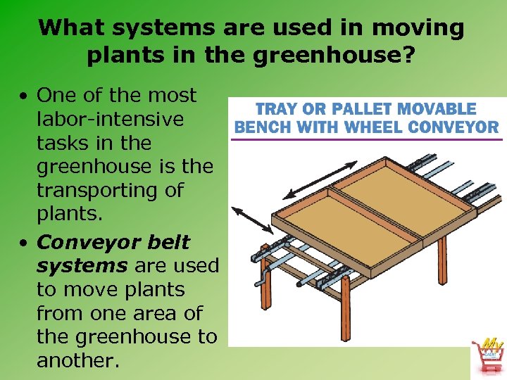 What systems are used in moving plants in the greenhouse? • One of the