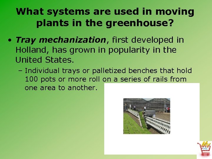 What systems are used in moving plants in the greenhouse? • Tray mechanization, first