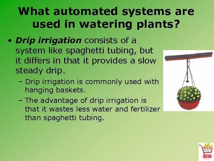 What automated systems are used in watering plants? • Drip irrigation consists of a