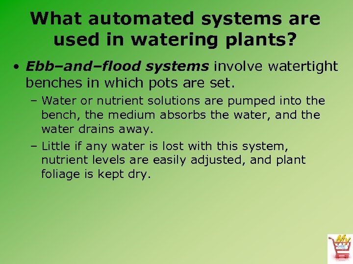 What automated systems are used in watering plants? • Ebb–and–flood systems involve watertight benches