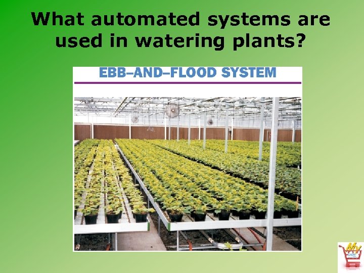 What automated systems are used in watering plants? 