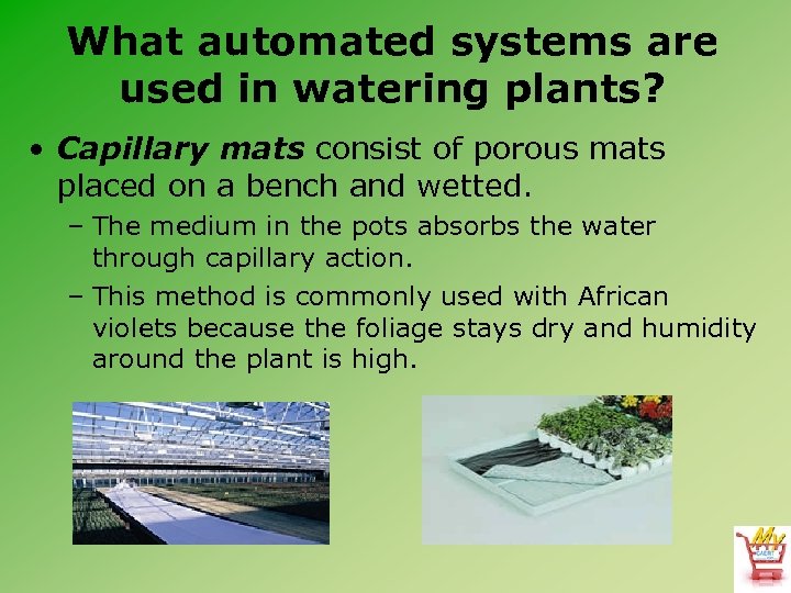 What automated systems are used in watering plants? • Capillary mats consist of porous