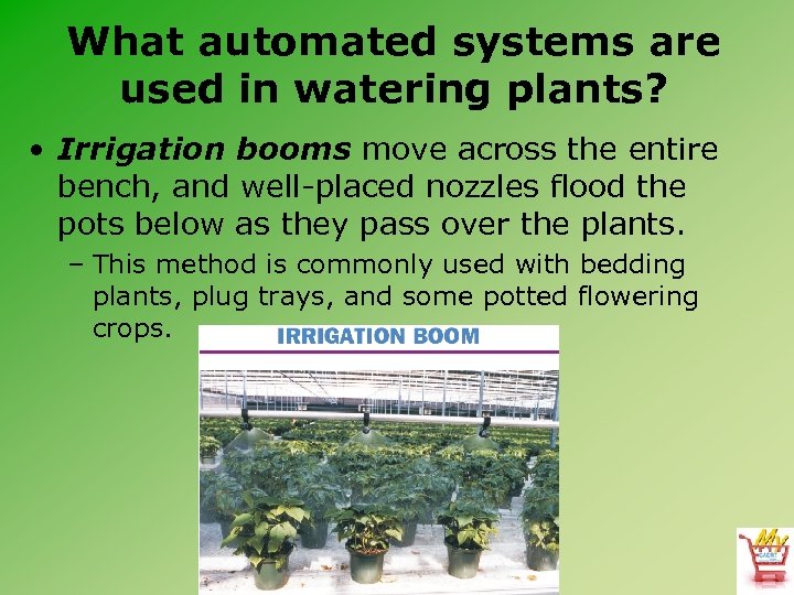 What automated systems are used in watering plants? • Irrigation booms move across the