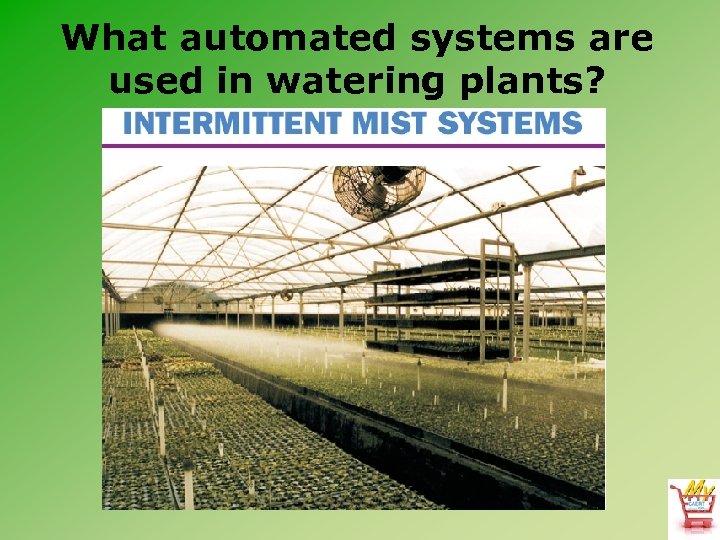 What automated systems are used in watering plants? 