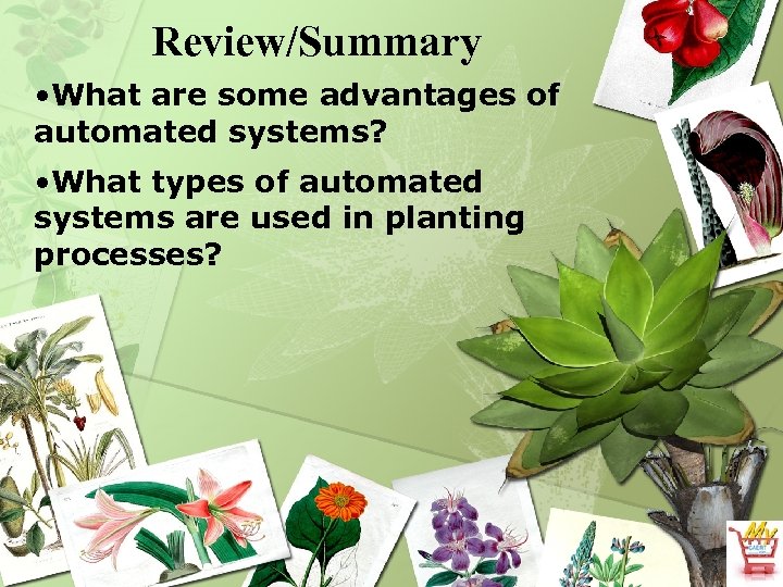 Review/Summary • What are some advantages of automated systems? • What types of automated