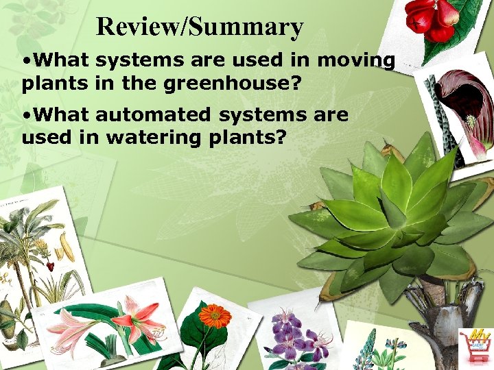 Review/Summary • What systems are used in moving plants in the greenhouse? • What