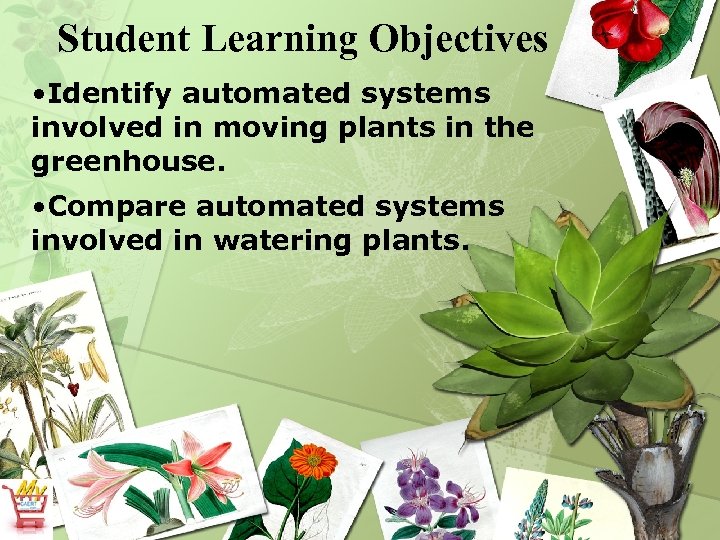 Student Learning Objectives • Identify automated systems involved in moving plants in the greenhouse.