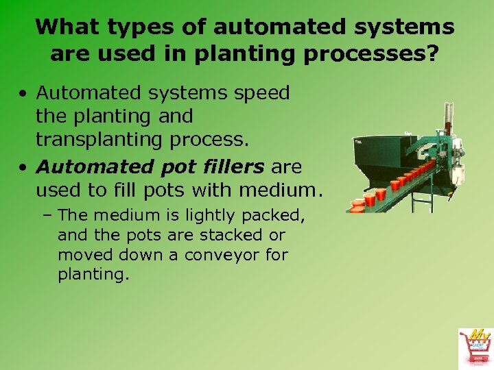 What types of automated systems are used in planting processes? • Automated systems speed