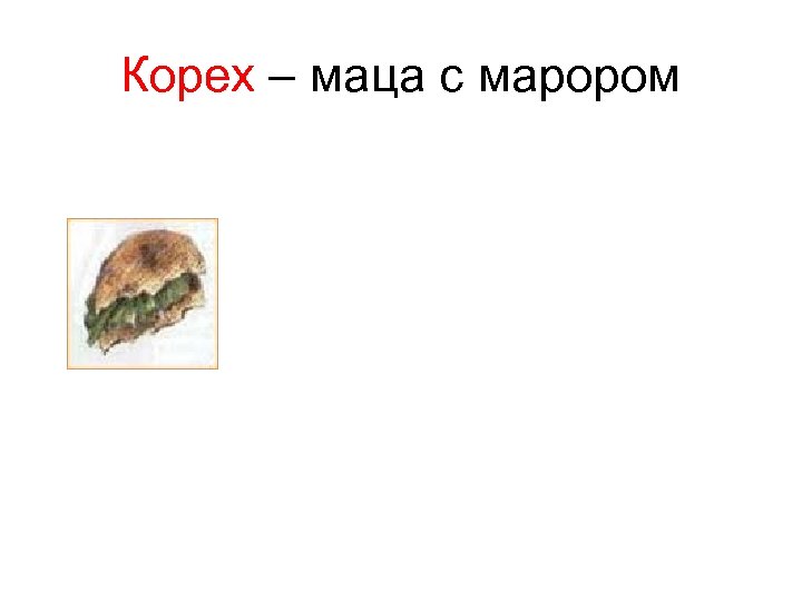 Корех – маца с марором 