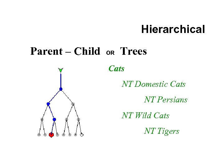 Hierarchical Parent – Child OR Trees Cats NT Domestic Cats NT Persians NT Wild