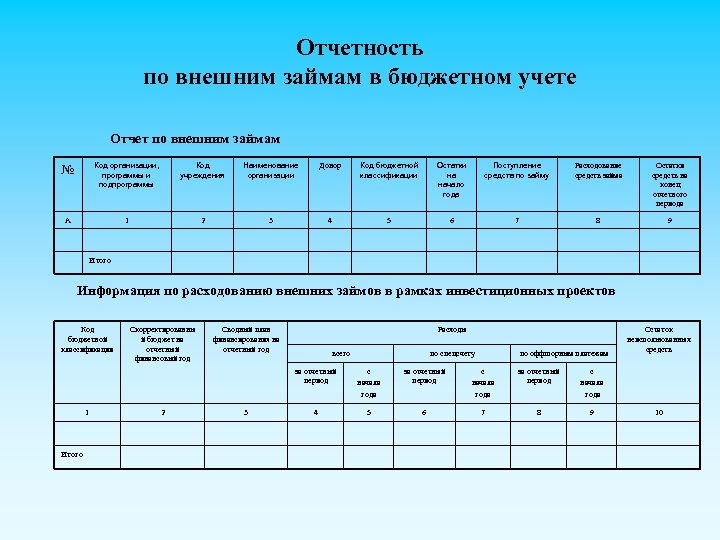 Отчетность по внешним займам в бюджетном учете Отчет по внешним займам № Код организации,