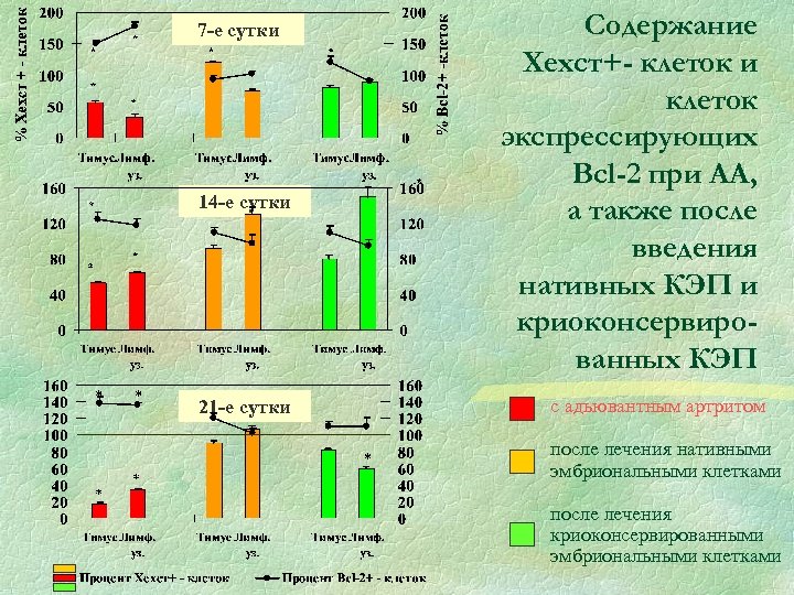 7 -e сутки 14 -e сутки 21 -e сутки Содержание Хехст+- клеток и клеток