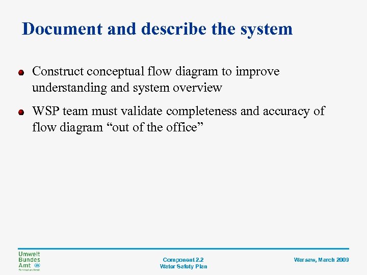 Document and describe the system Construct conceptual flow diagram to improve understanding and system