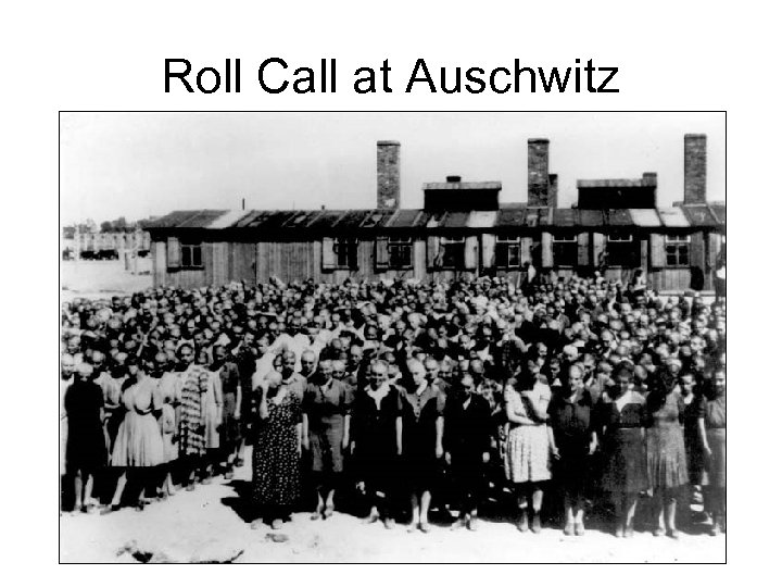 Roll Call at Auschwitz 