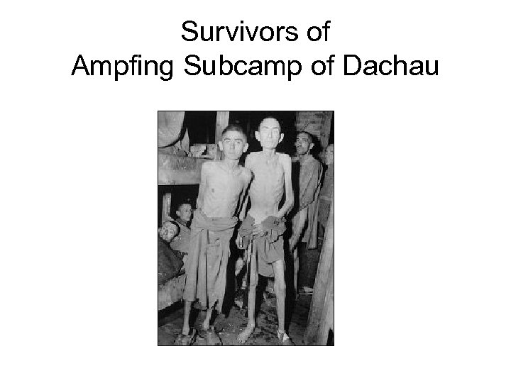 Survivors of Ampfing Subcamp of Dachau 