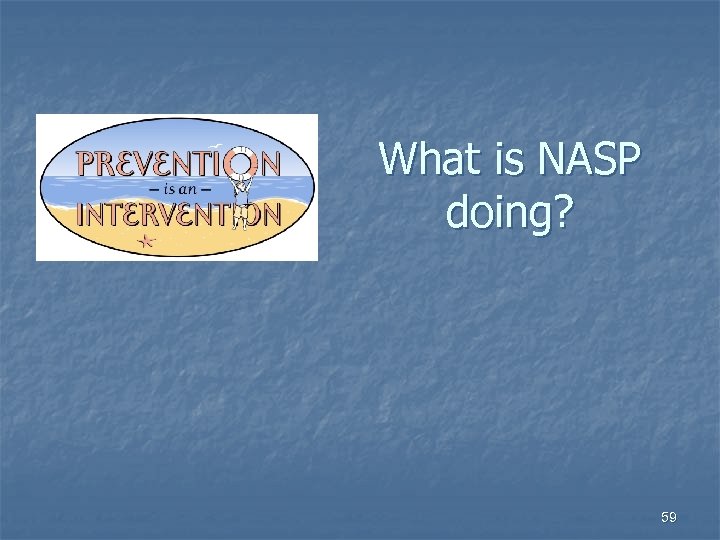 What is NASP doing? 59 