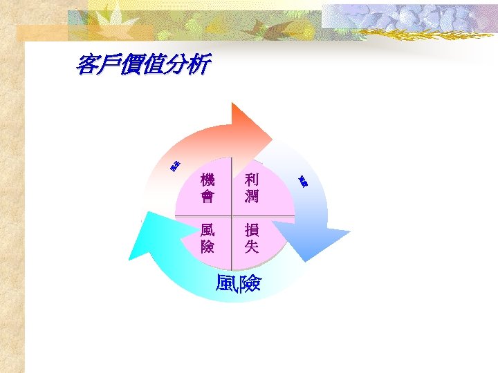 客戶價值分析 機 會 利 潤 風 險 損 失 