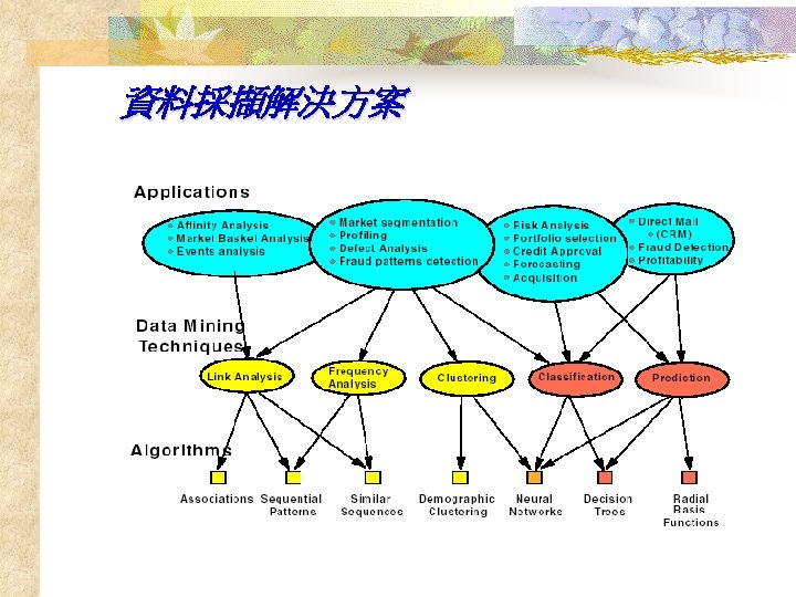 資料採擷解決方案 
